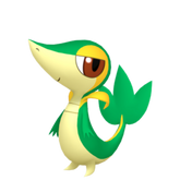 6IV Snivy Indigo Disk Pokemon Scarlet and Violet